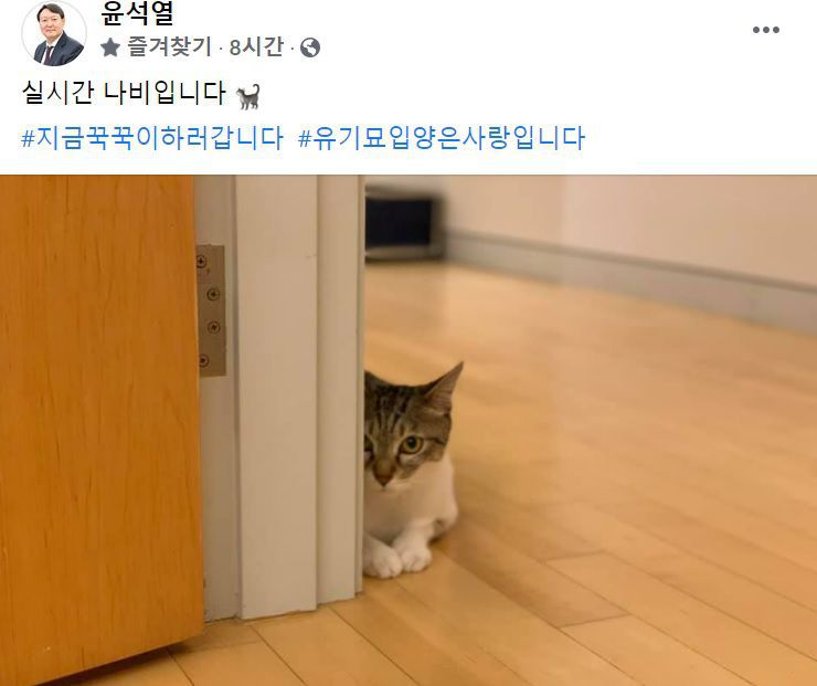 /윤석열 대통령 당선인 페이스북