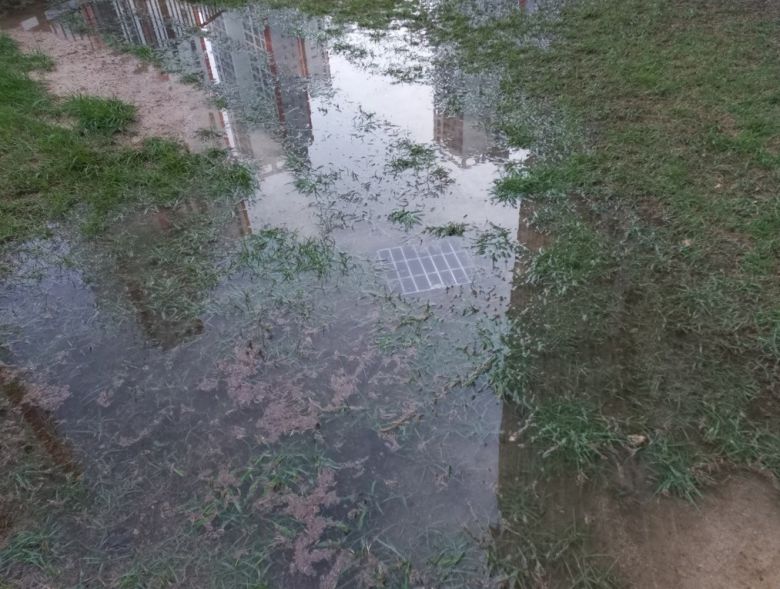 수영장 물이 버려진 후 아파트 공용공간 하수구가 막혀 있는 모습/ 네이버카페