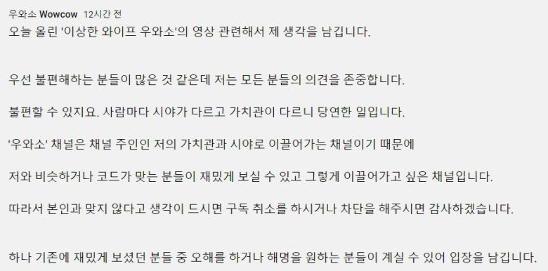 채널 측이 올린 해명 글. /유튜브 '우와소'