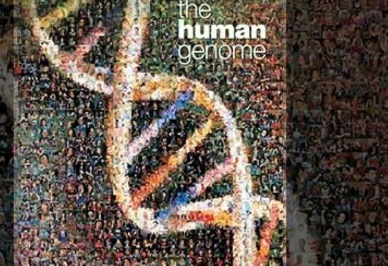 인간의 유전자 배열을 모두 해석한 인간게놈프로젝트. 사업이 끝난지 18년이나 지났지만 새로운 질병은 계속 생겨나고 있다. 사진은 국제인간게놈배열연구컨소시엄이 2001년에 처음 발표한 연구 결과 내용./미국국립인간게놈연구소