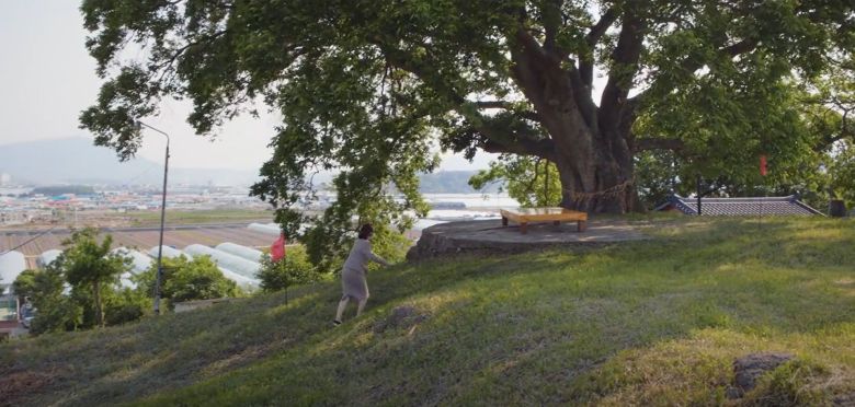 드라마 '이상한 변호사 우영우' 8회에서 주인공 우영우가 팽나무로 달려가는 장면. /ENA