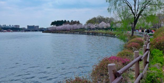 경기도 고양시 일산 호수공원 전경/조선일보DB