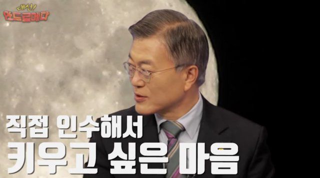 문재인 전 대통령이 2017년 대선을 앞두고 YTN에 출연, 박근혜 전 대통령이 청와대에 두고 떠난 진돗개에 대해 “제가 이번에 대선 출마만 하지 않았으면 우리 양산 집에서 같이 키우고 싶더라”고 말하고 있다. /YTN 유튜브 영상 캡처