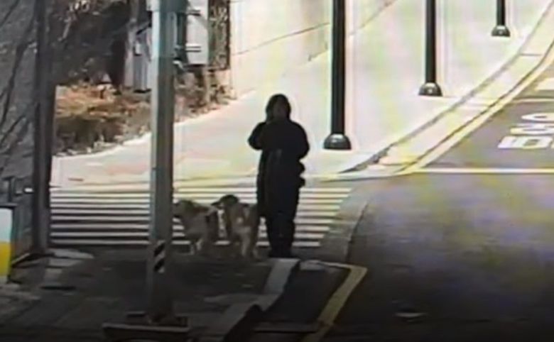 반려견 순찰대 참여자가 음주운전 의심 차를 발견한 즉시 경찰에 신고하고 있다. /경찰청 유튜브