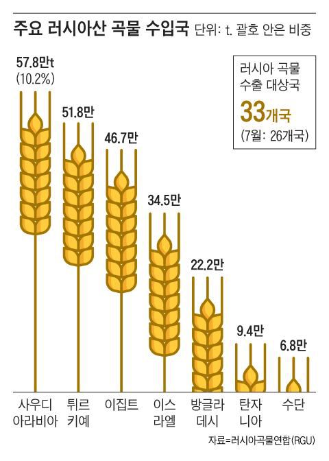 그래픽=조선디자인랩