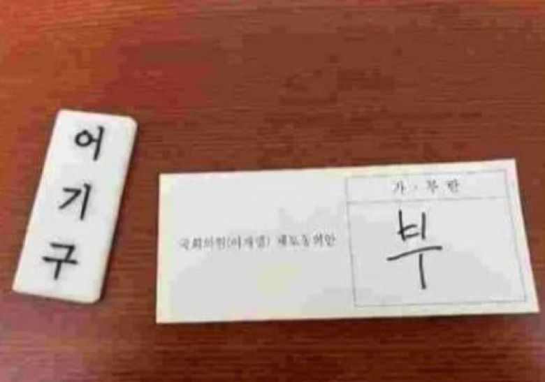 어기구 민주당 의원이 체포동의안 투표용지 인증 사진을 공개했다. /재명이네마을