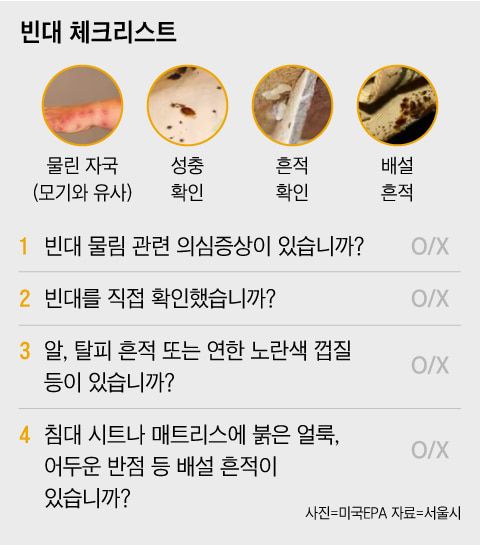 그래픽=조선디자인랩 이민경