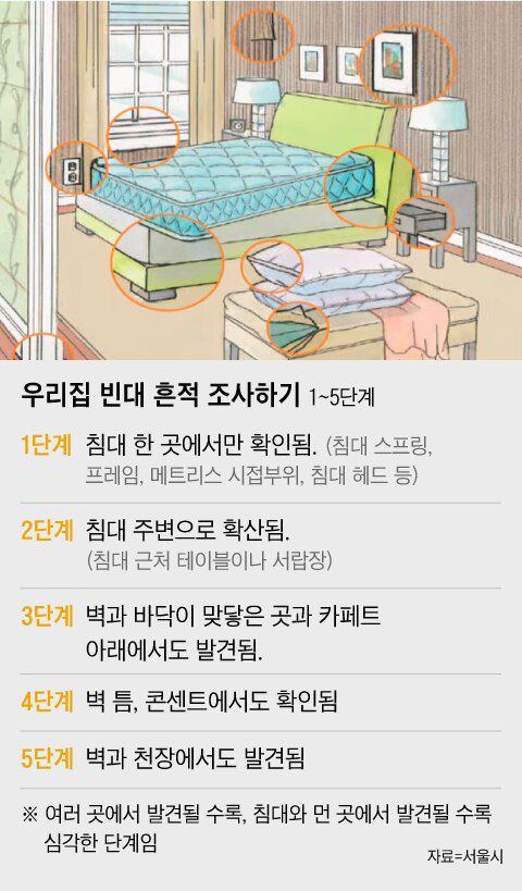 그래픽=조선디자인랩 이민경