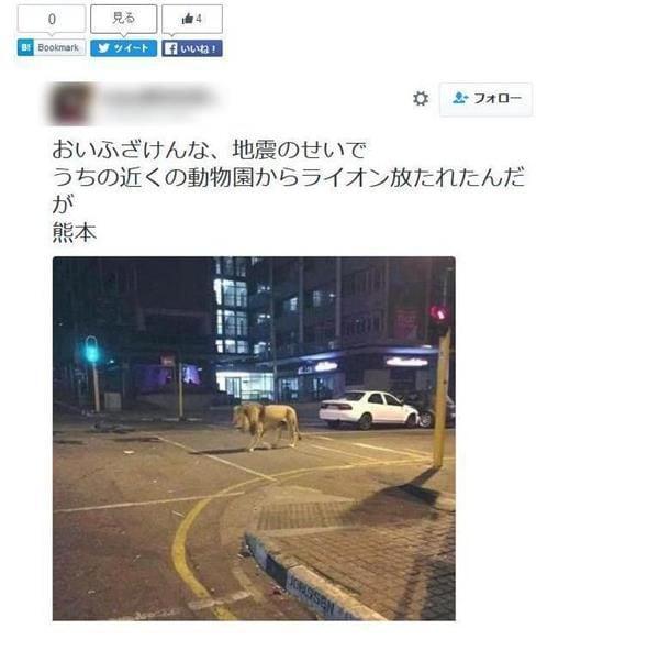 일본 구마모토현에 규모 6.5 지진이 발생했던 2016년 4월 당시 트위터에 “지진의 영향으로 동물원에서 사자가 탈출했다”는 내용의 글이 사자 사진과 함께 올라왔다. 이 사진은 나중에 해외에서 촬영된 사진으로 확인됐다./트위터