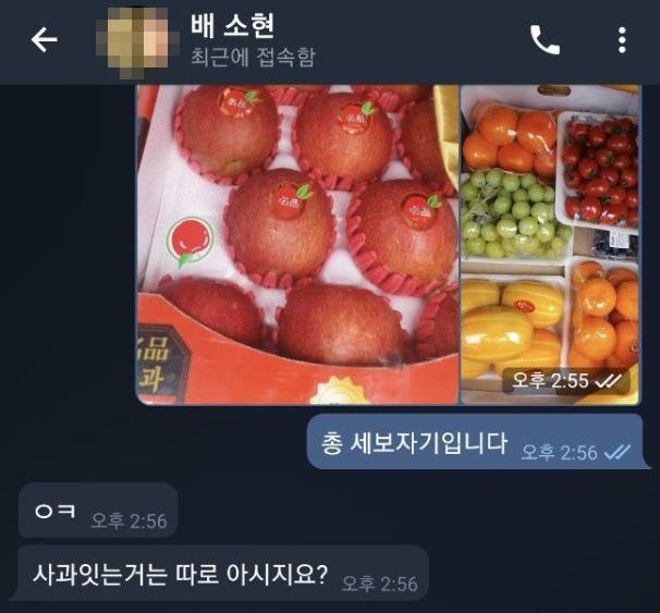 조명현씨가 "세 보자기"라며 사진 찍어 보고하자 배소현씨는 "사과는 따로"라고 지시했다. 조씨는 "격주에 한 번은 과일을 보자기에 싸서 이재명 대표 수내동 자택에 보냈다"고 주장했다. /TV조선 제공