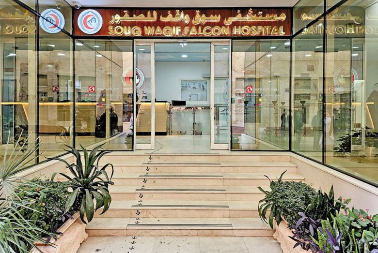 수크 와키프 매 시장 골목에 자리한 '매 전문 병원' 입구. /정상혁 기자