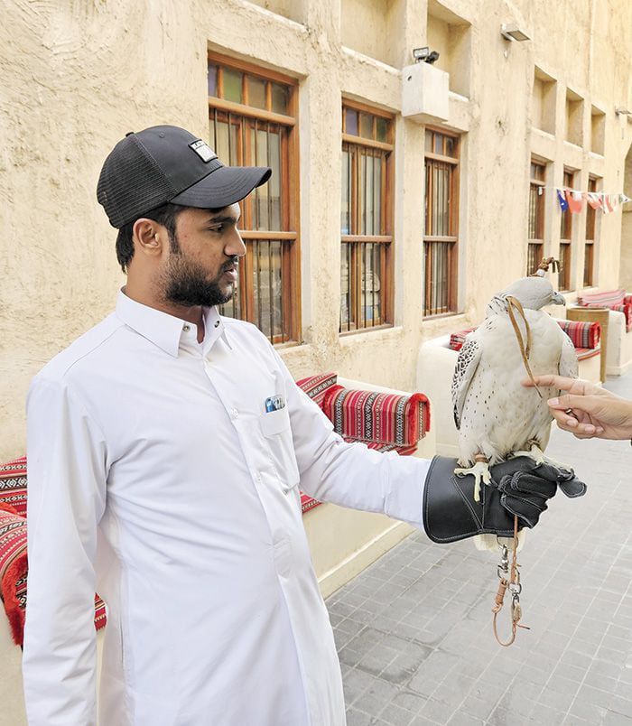 근처를 지나던 한 남성이 팔에 앉은 흰 매를 보여줬다. 이 한 살짜리 매가 2700만원에 달한다. /정상혁 기자