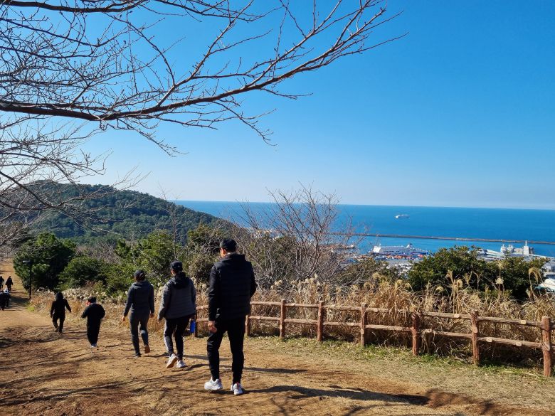 제주도 별도봉 오름. 정상 우측 아래는 제주항. /손관승 제공