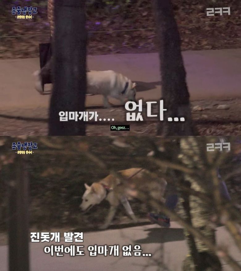 해당 방송 장면. (유튜브 캡처) /뉴스1