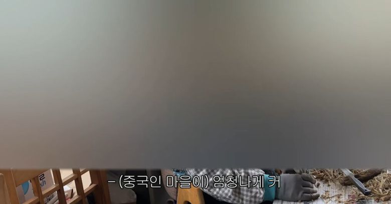 과거 사이비 마을에 들어가 본 적 있다고 인터뷰하는 마을 주민./유튜브채널 '어쩔수없는윤화'