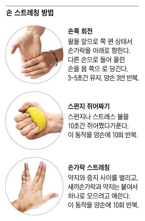 그래픽=조선디자인랩 정다운