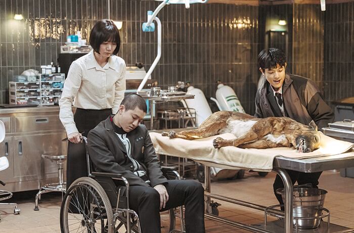 ‘가족계획’. /쿠팡플레이