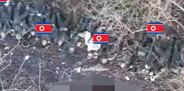 전사한 북한군으로 추정되는 시신이 들판에 나란히 누워있는 모습. /텔레그램 인폼네이팜(InformNapalm)