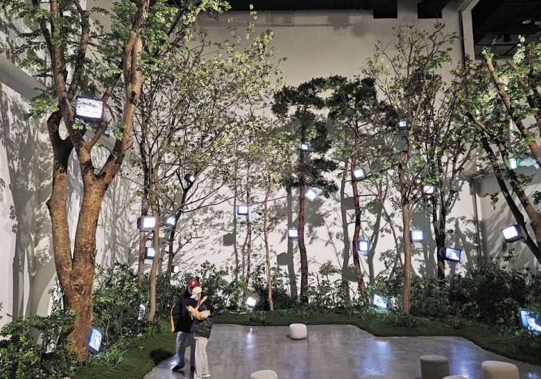 부산현대미술관 특별전 ‘백남준, 백남준, 그리고 백남준’에 전시된 설치 작품 '케이지의 숲-숲의 계시'. 수직으로 곧게 뻗은 나무 12그루에 TV 모니터 23대가 매달려 거대한 숲을 이뤘다. /허윤희 기자