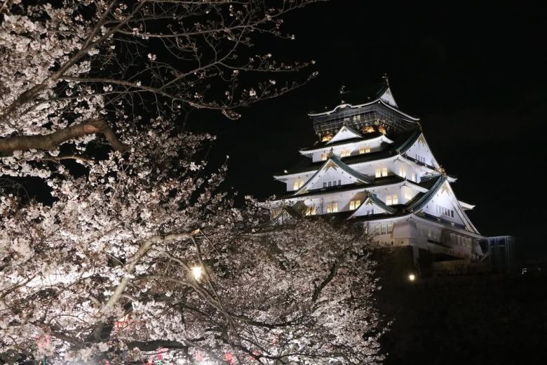 벚꽃 핀 시기의 일본 오사카성. /오사카성 공식 인스타그램