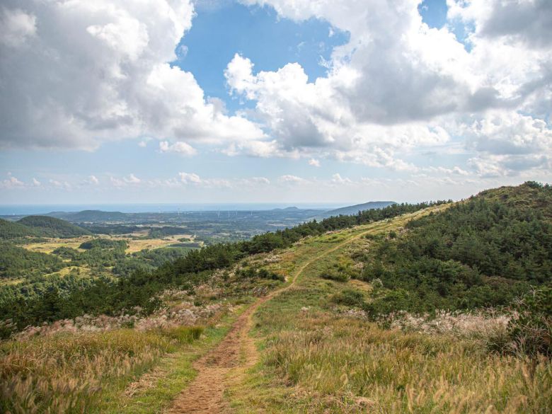 제주 동쪽에 많이 분포되어 있는 오름. 계절에 따라 유채꽃, 수국, 억새 등을 함께 감상하는 특별함이 있다. 비짓제주.