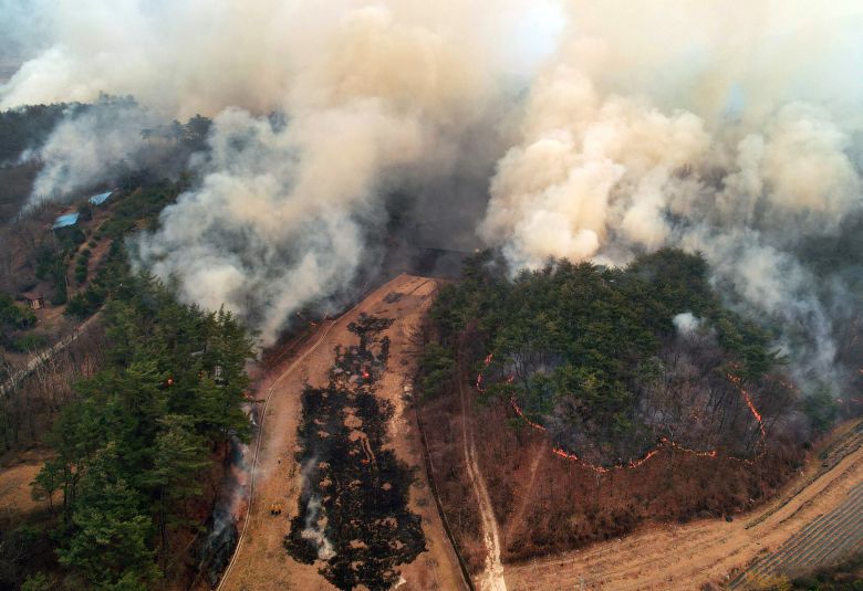 24일 오후 경북 의성군 점곡면 윤암삼거리 인근 한 야산에서 강풍을 타고 산불이 번지고 있다. 윤암삼거리는 안동시 길안면과 청송군 방면으로 갈라지는 길목이다./뉴스1