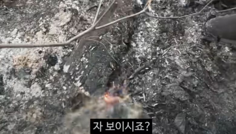 잔불 정리를 하고 있는 충주맨./유튜브 '충주시'