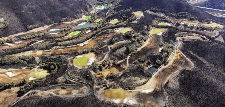 까맣게 그을린 골프장 - 경북 안동시 일직면의 한 골프장 곳곳이 산불에 까맣게 그을린 모습. /연합뉴스