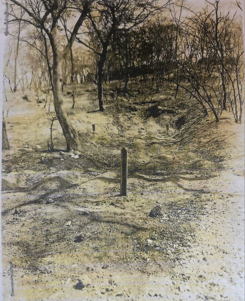 ‘서울대병원 집단 학살 사건’ 당시 희생된 국군 부상병과 민간인 시신 32구가 묻힌 지점에 꽂힌 표식. 희생 당일인 ‘1950년 6월 28일’이라고 적혀 있다. 사건 이듬해 미 극동사령부 한국전쟁범죄조사단이 이 곳을 촬영해 북한 인민군 학살 증거로 보고서에 첨부했다./국립중앙도서관