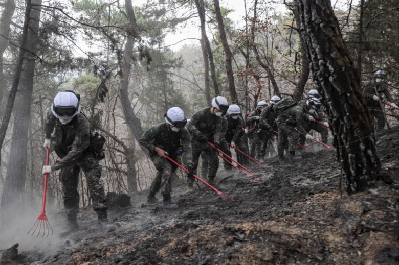 29일 오전 경북 의성군의 한 야산에서 육군 50사단 장병들이 산불로 타버린 낙엽 등을 갈퀴로 헤치며 잔불이 남아있는지 확인하고 있다./육군
