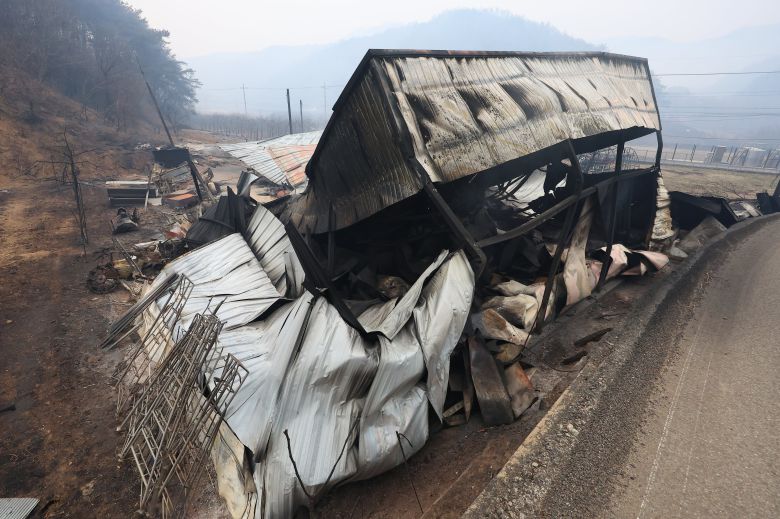 27일 경북 청송군 파천면 지경리의 과수원 창고가 밤새 번진 산불에 타 무너져 있다. /연합뉴스