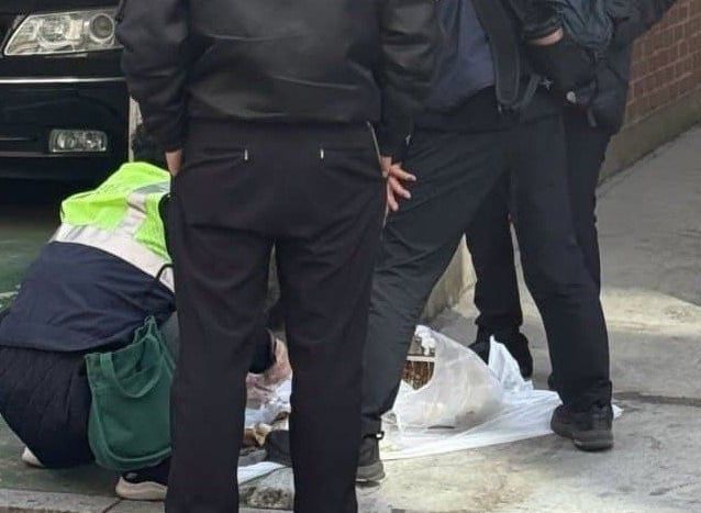 종량제 봉투를 열어보는 단속원들./스레드