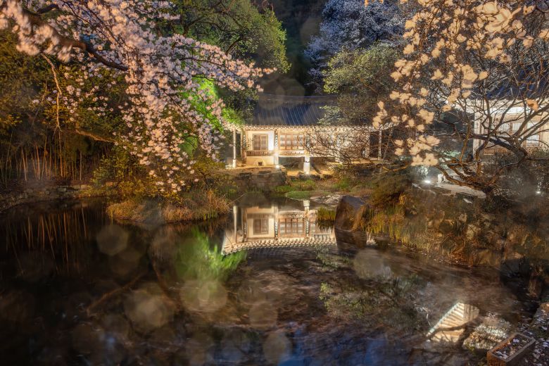 조금 더 늦은 저녁, 그나마 햇빛이 남아 있어 꽃잎의 색상이 살아 있지만 시간이 흐를수록 본래 자연의 색은 사라지고 노란 빛만 남게 된다.