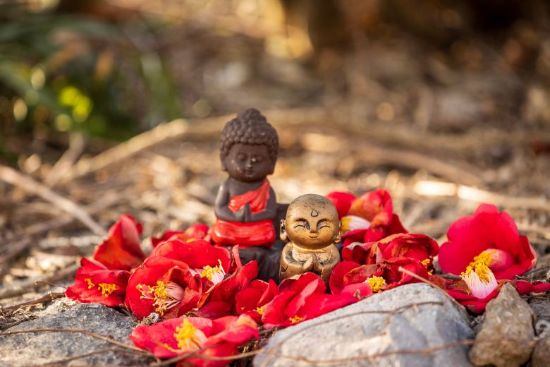 선운사 경내 소원돌을 쌓은 탑 위로 붉은 동백꽃이 내려 앉아 시선을 끈다. / 이건송 영상미디어 기자