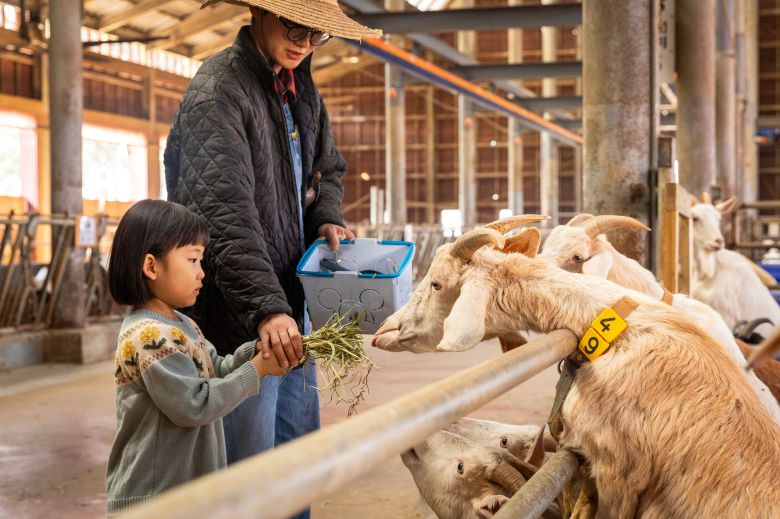 '상하농원' 동물 농장에서 염소에게 먹이주기 체험을 하는 어린이. 체험형 농장인 상하농원은 가족 여행지로 인기다. / 이건송 영상미디어 기자