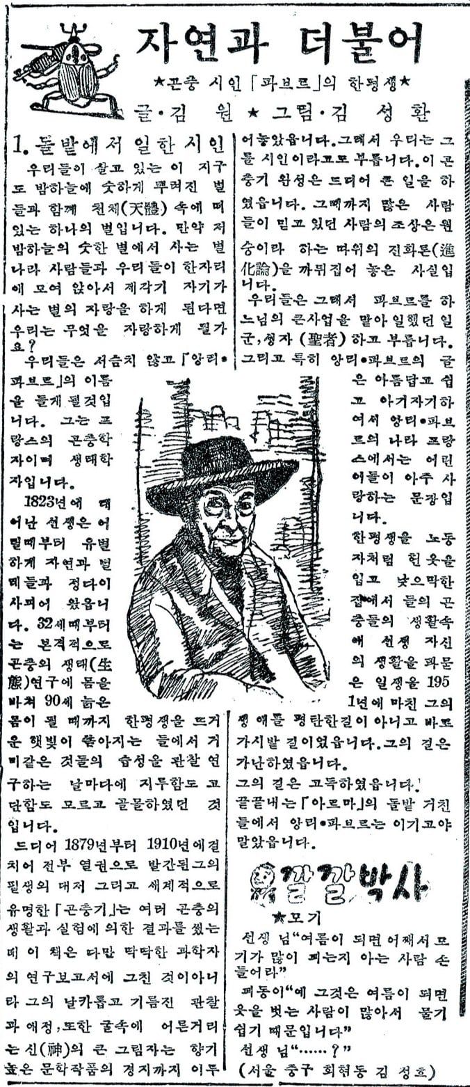 광복 이후에도 파브르의 인기는 여전했다.  조선일보는 1956년 6월11~28일 '자연과 더불어'란 제목아래 파브르 일대기를 17회 연재했다. 사진은 첫회가 실린 조선일보 6월11일자.