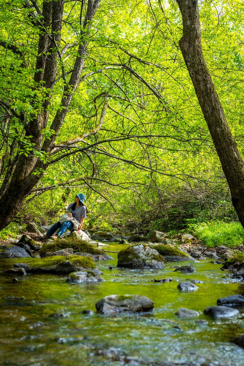 '샘터' 부근의 계곡에서 물소리를 들으며 '물멍'은 필수. 여름엔 선자령 등산로에서 '고진감래'를 느끼게 해주는 오아시스같은 곳이다. / 이신영 영상미디어 기자