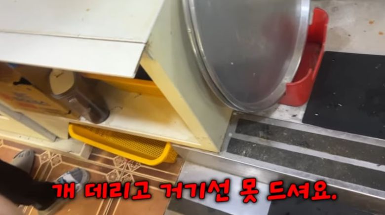 자리 교체를 요청한 허씨와 일행에게 식당 측이 "개를 데리고 있어서 안 된다"라고 말하고 있다. /우령의 유디오 유튜브