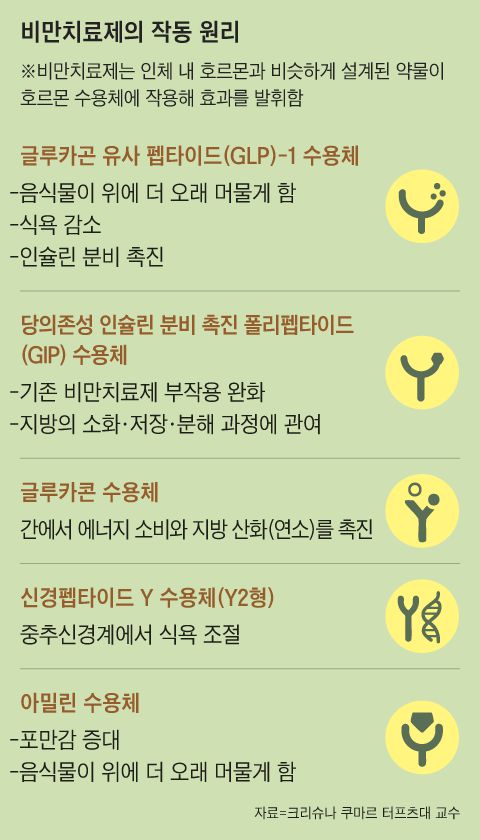 그래픽=김성규