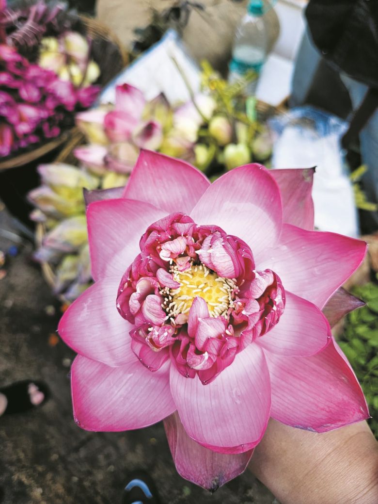 다다르 꽃시장에서는 종교와 민족, 행사에 맞는 다양한 꽃을 판다. /김성윤 기자