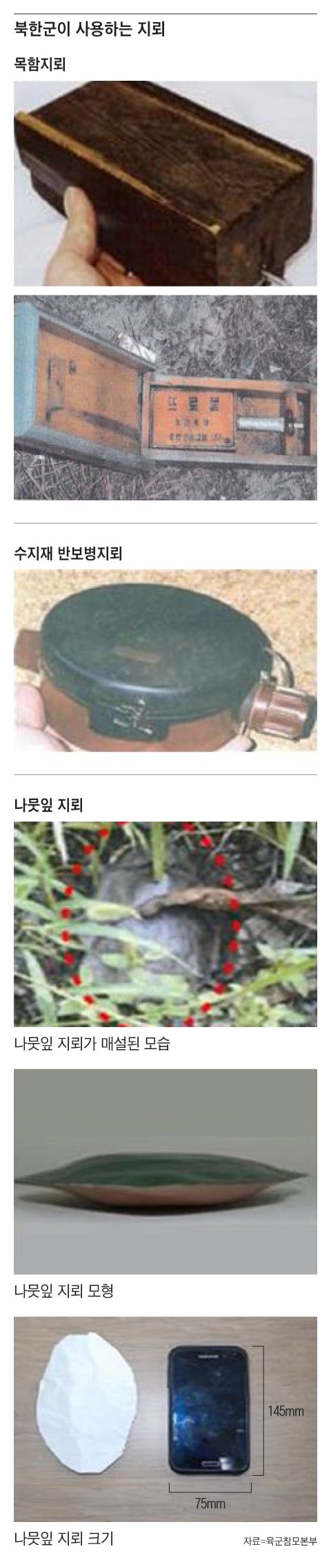 그래픽=조선디자인랩 김영재