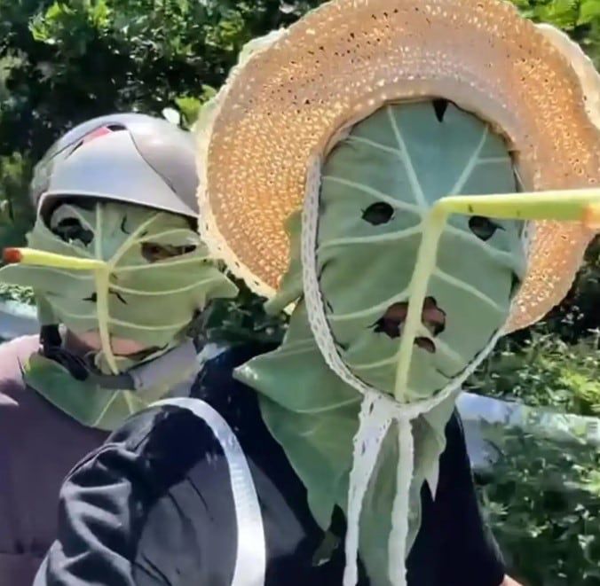 중국의 한 청년이 연잎으로 만든 마스크를 착용한 영상이 소셜미디어에서 화제가 되고 있다./더우인