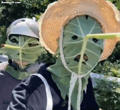 /바이두