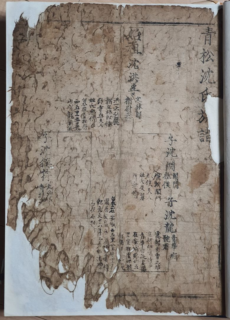 '청송심씨족보'(1545) /한국족보 유네스코 세계기록유산 등재 추진위원회