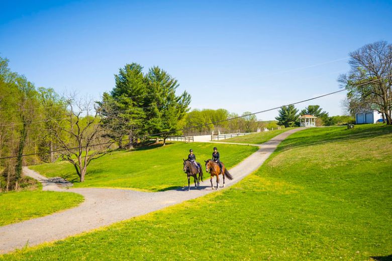 학생들이 교내에서 말을 타고 있는 모습. /학교 홈페이지