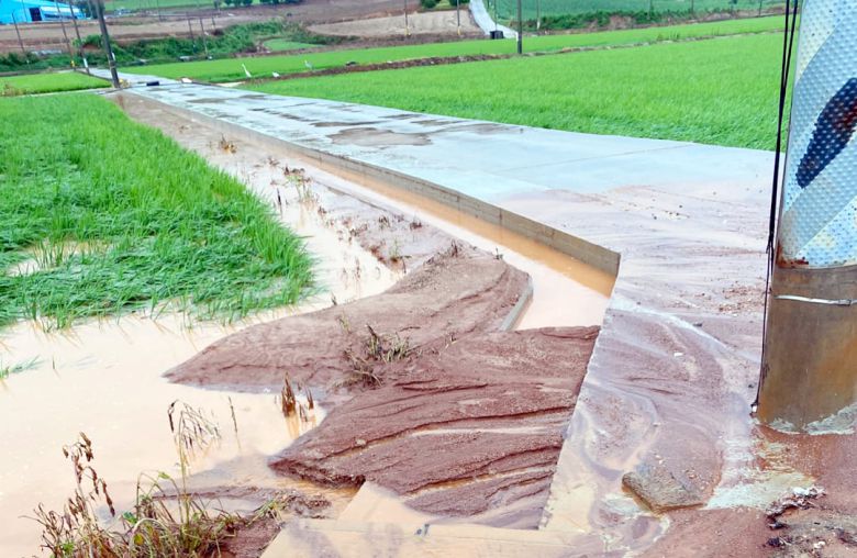 19일 오전 전남 무안군 해제면 한 농경지가 흙탕물에 잠겨있다. /연합뉴스