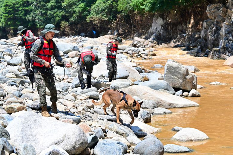 육군 39사단 장병들이 24일 경남 산청 일대에서 군견을 동원해 실종자 수색을 하고 있다./육군