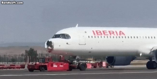 조류 충돌로 기체가 손상된 이베리코항공 여객기./엑스(X·옛 트위터)