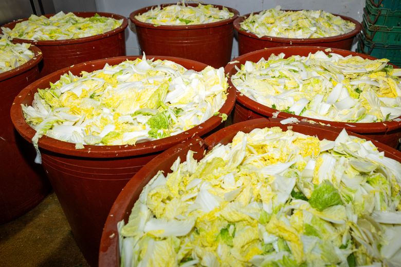 서울 중구 진주회관이 김치를 담그는 모습. 매일 새벽부터 김치 200포기를 담근다. 하루에 200포기가 다 나간다고 한다./이건송 영상미디어 기자