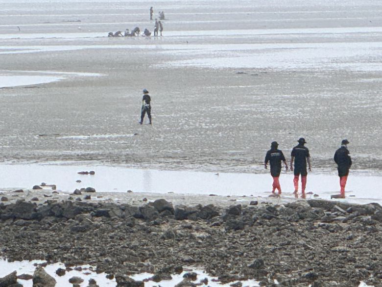 해경이 5일 태안 남면 진산리 갯벌에서 해루질 중 실종된 70대 여성을 수색하고 있다. /뉴스1